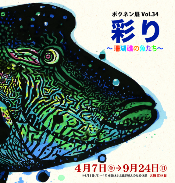 ボクネン展vol.34「彩り」〜珊瑚礁の魚たち〜 @ ボクネン美術館